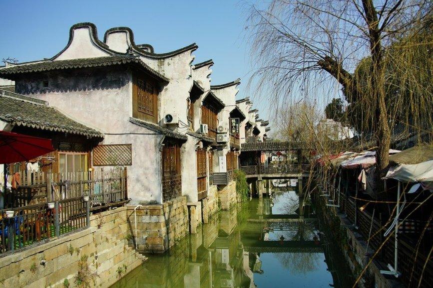 发烧只能去大医院,排队好几个小时?社区卫生中心如何更好发挥作用,施政、张文宏说→